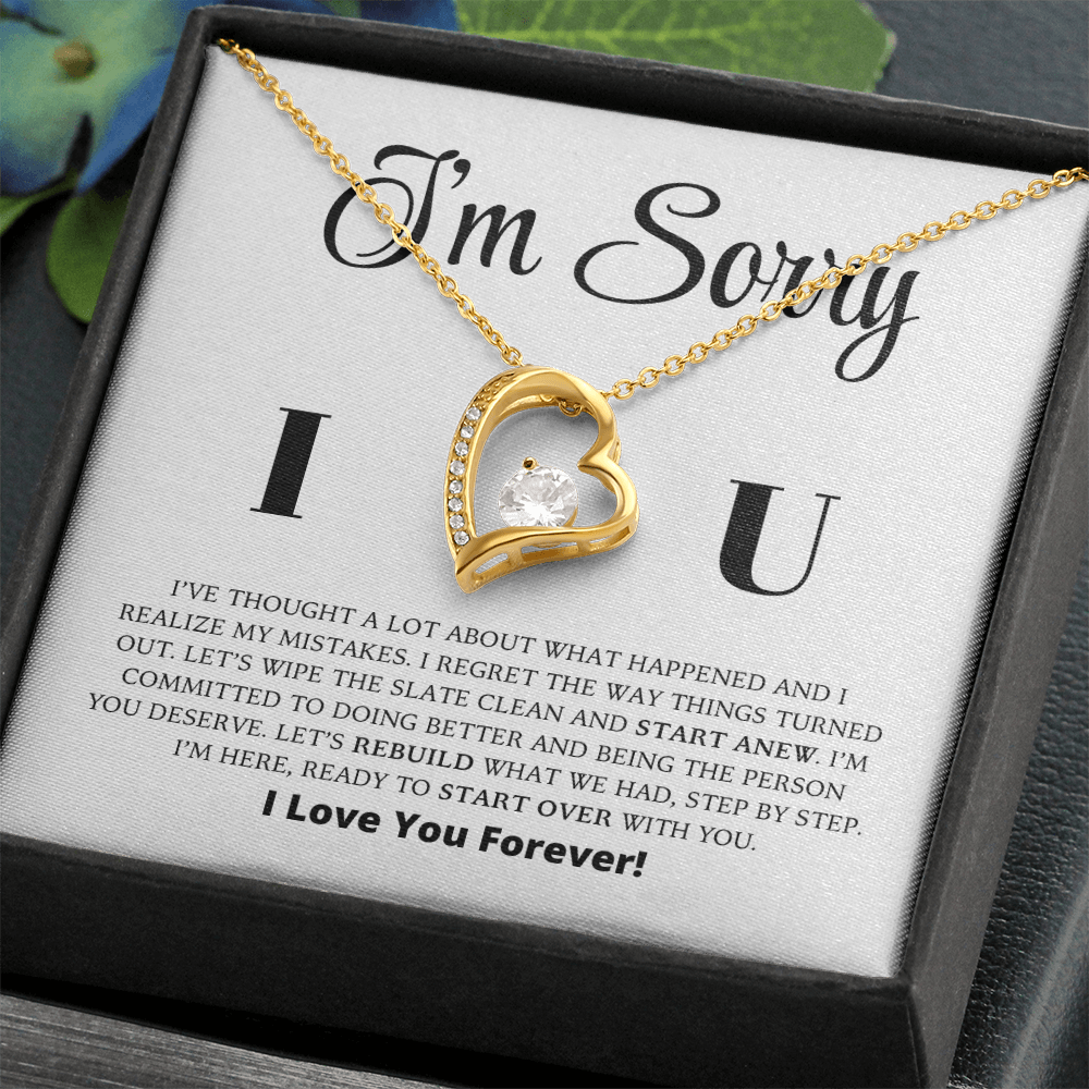 I'm Sorry - Let's Rebuild What We Had - Forever Love Necklace