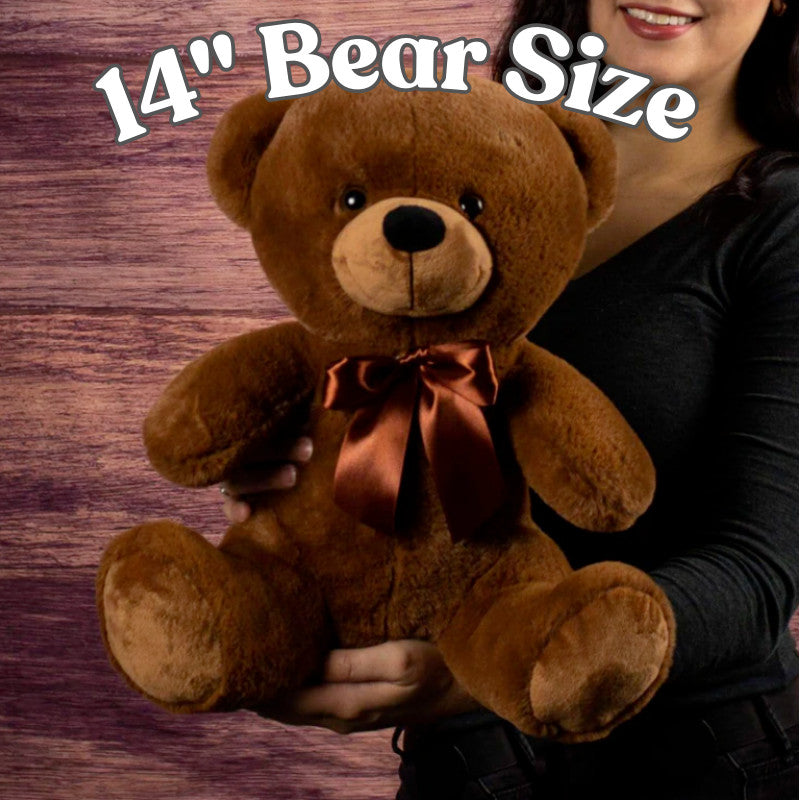 Apology Gift For Her - Teddy Bear with Canvas Message Card (Ships to the USA Only)