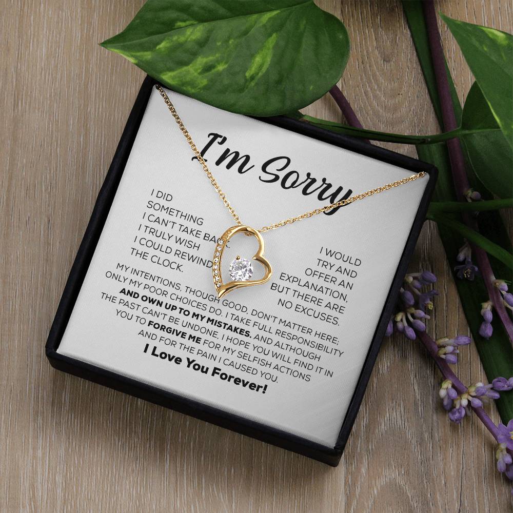 Apology Gift For Her - Own Up To My Mistakes - Forever Love Necklace