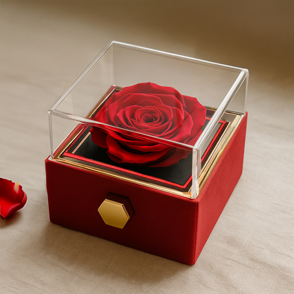 Let's Start Over - Love Knot with Rotating Rose Gift Box