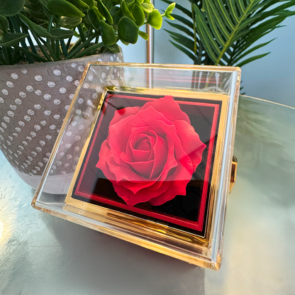 Apology Gift For Her - Love Knot with Rotating Rose Gift Box